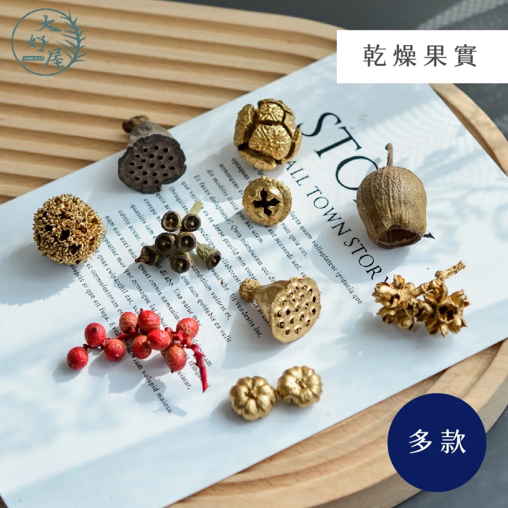 【網】綜合金銀乾燥植物果實