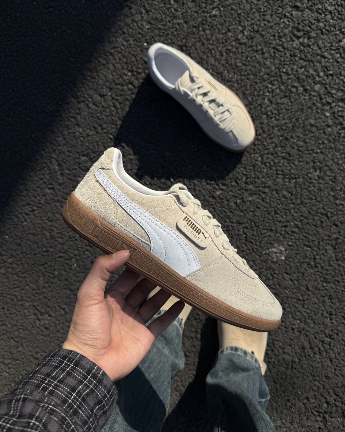 "代購" PUMA Palermo 金標米白  396463-11