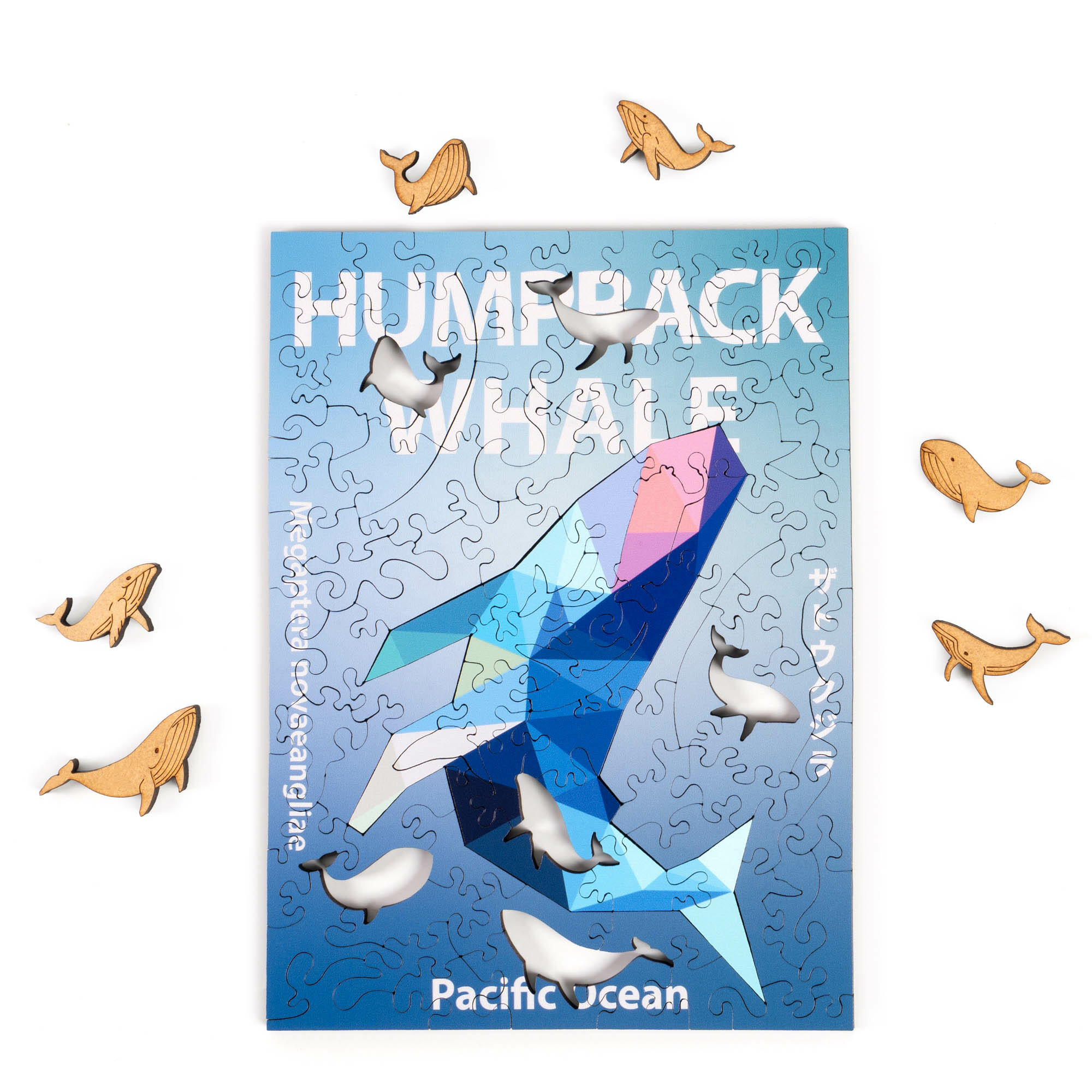 五大洋動物系列-座頭鯨