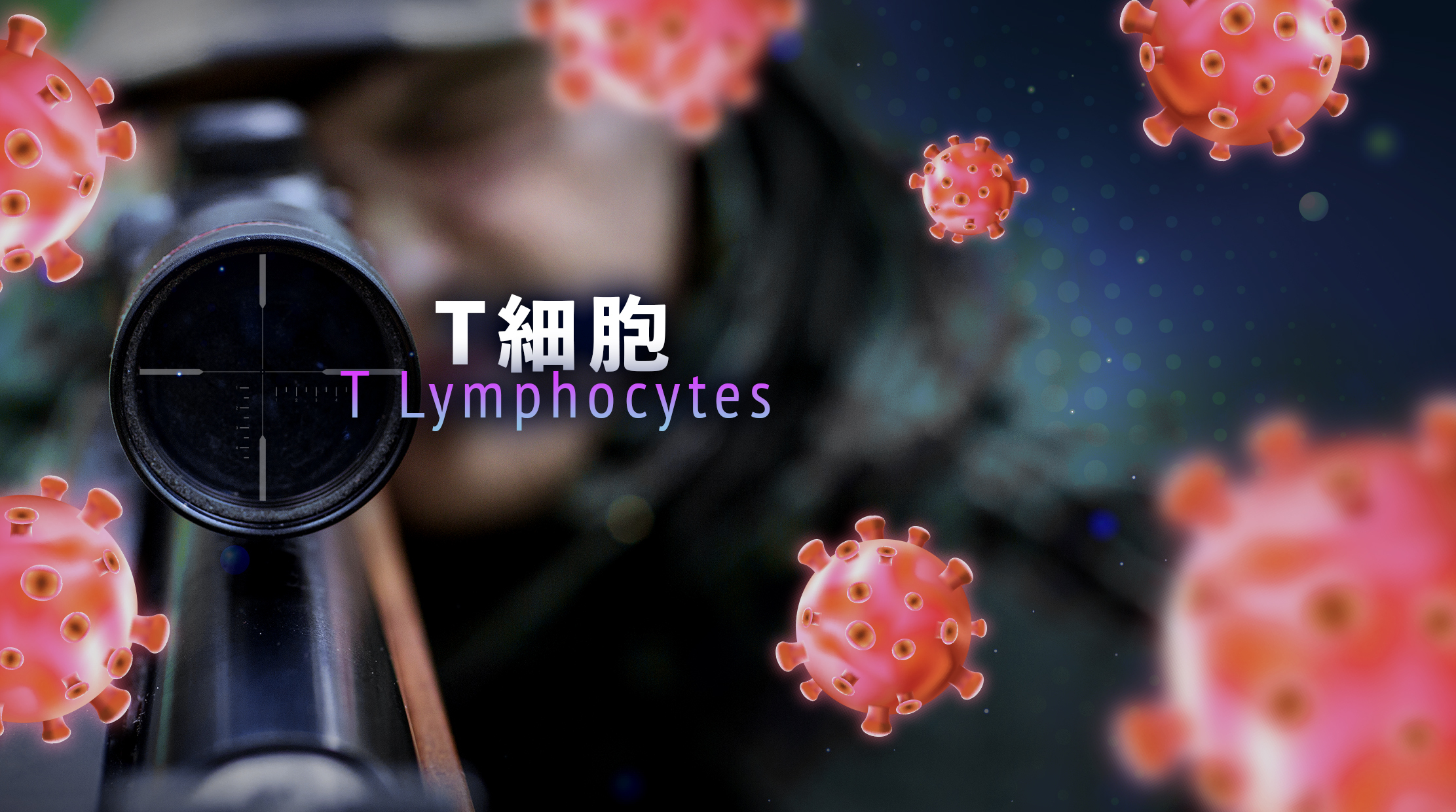 T細胞（T Lymphocytes）——精準狙擊手