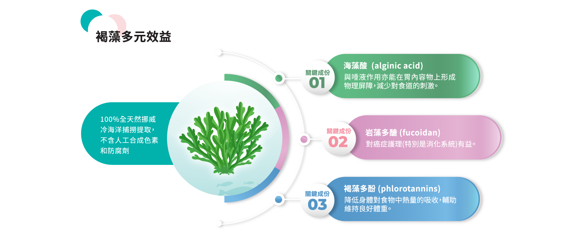Papai®巴派｜海藻深層潔牙粉