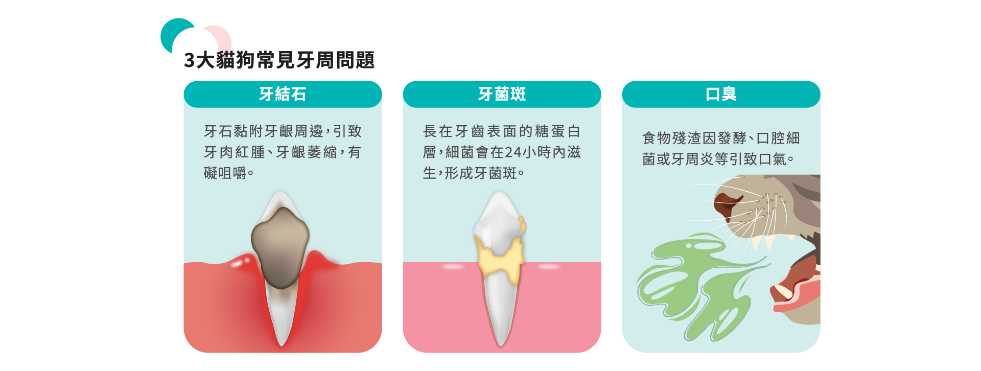 Papai®巴派｜海藻深層潔牙粉