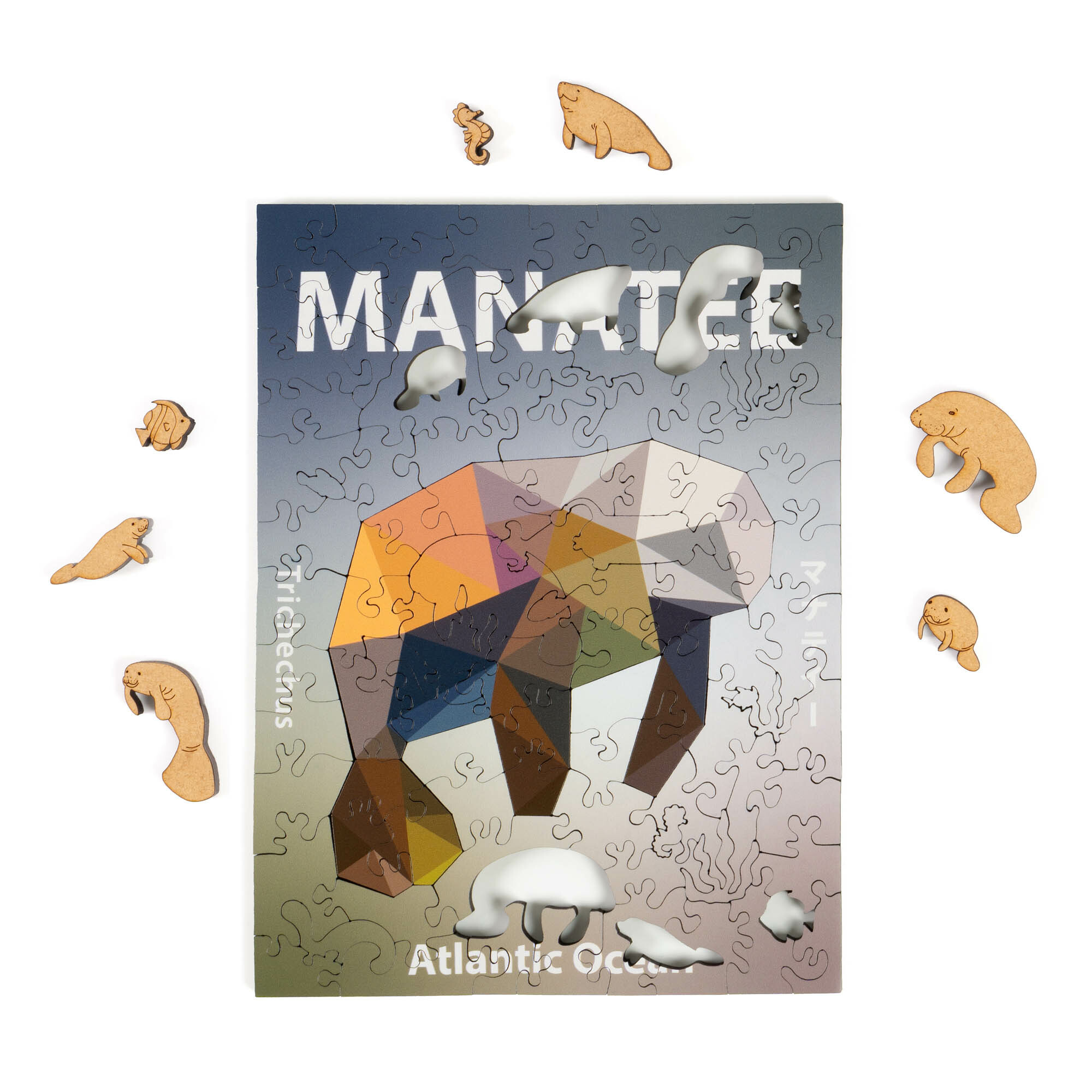 五大洋動物系列-海牛