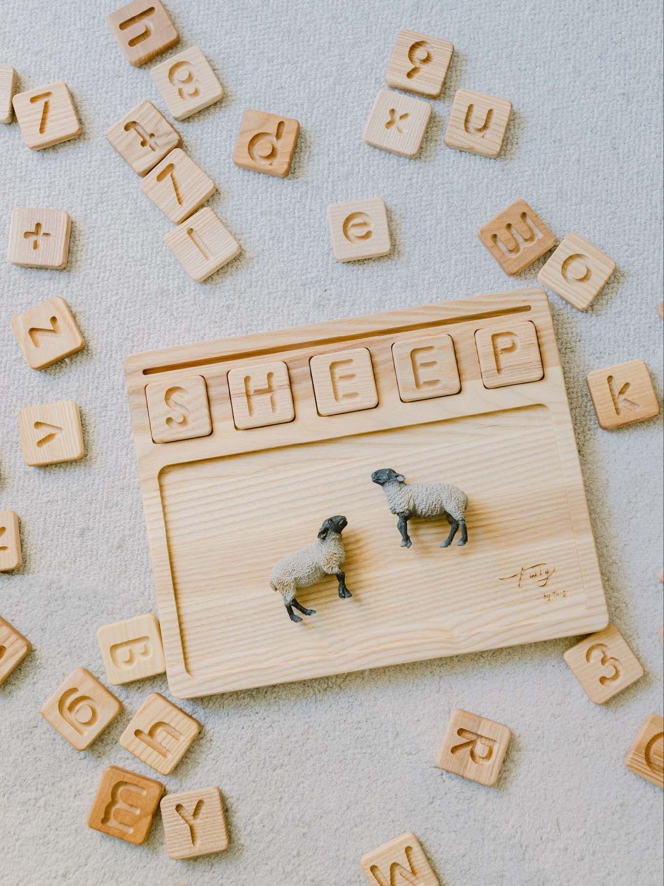 【絕版品】twig by TWIG 多功能蒙特梭利教具 - 英文大寫字母磚