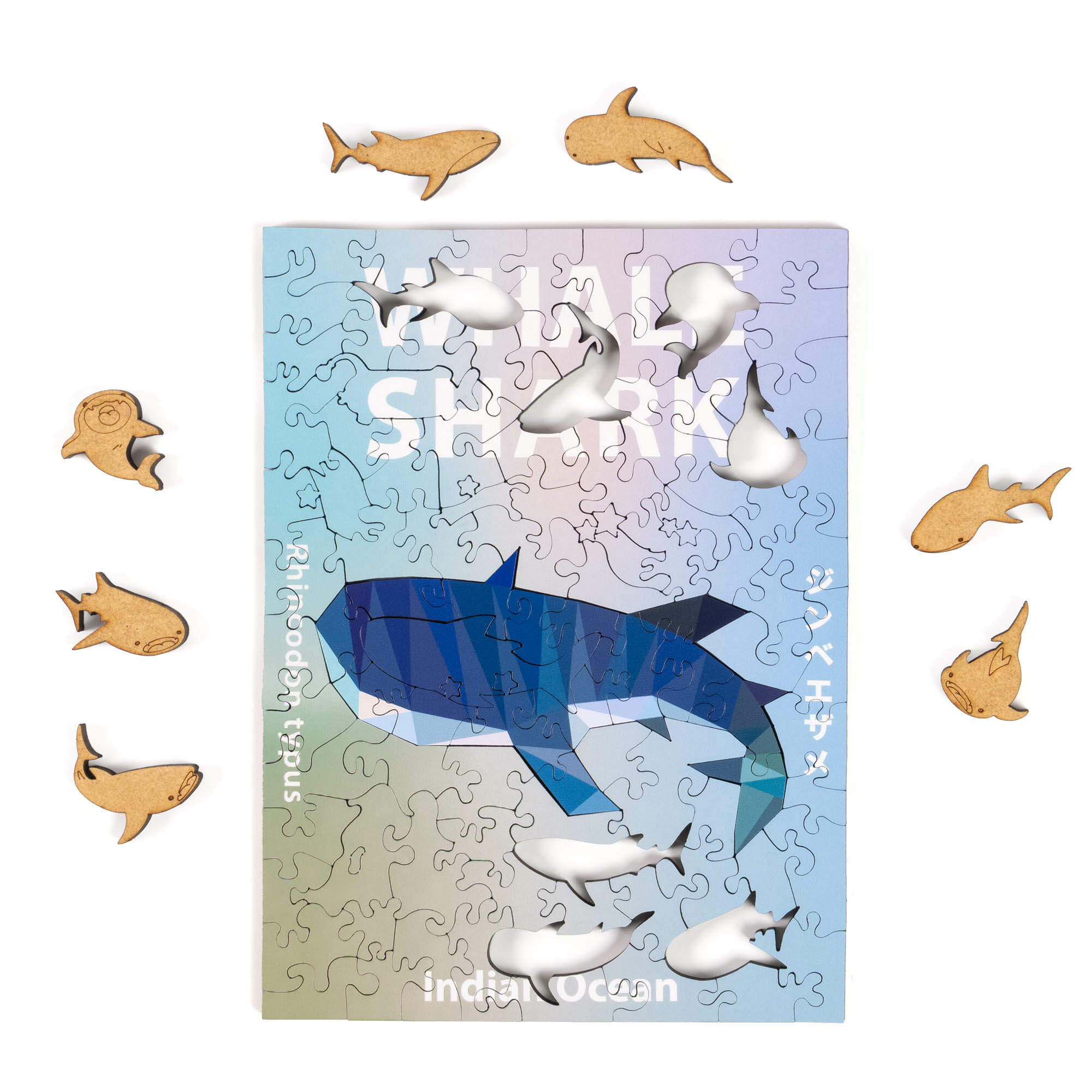 五大洋動物系列-鯨鯊