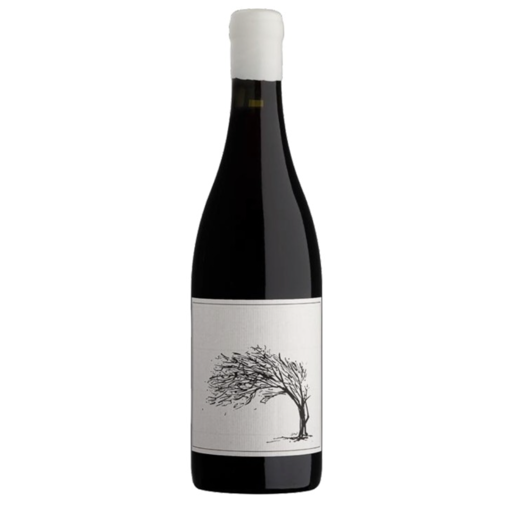 Savage The Girl Next Door Syrah 2023