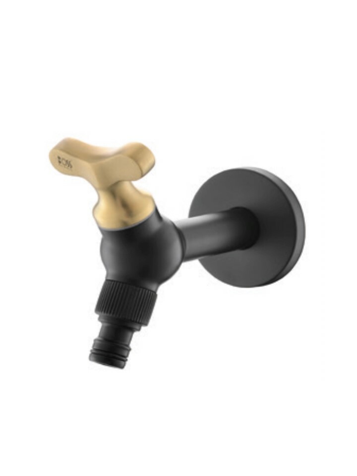 B1D-377不銹鋼長栓