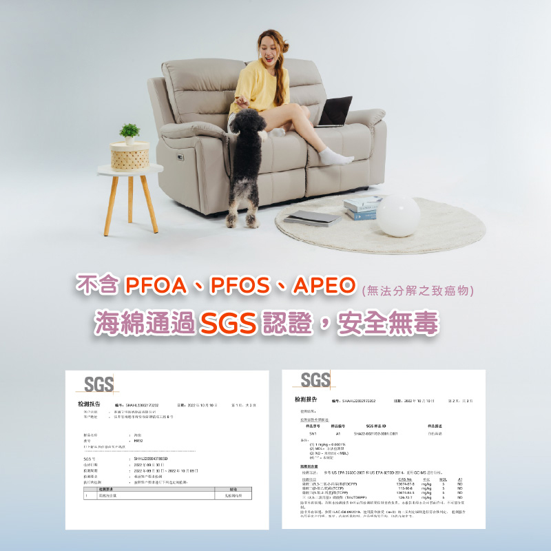 【Munichi】奢華漫遊3D雙人電動沙發_涼感硅藻皮