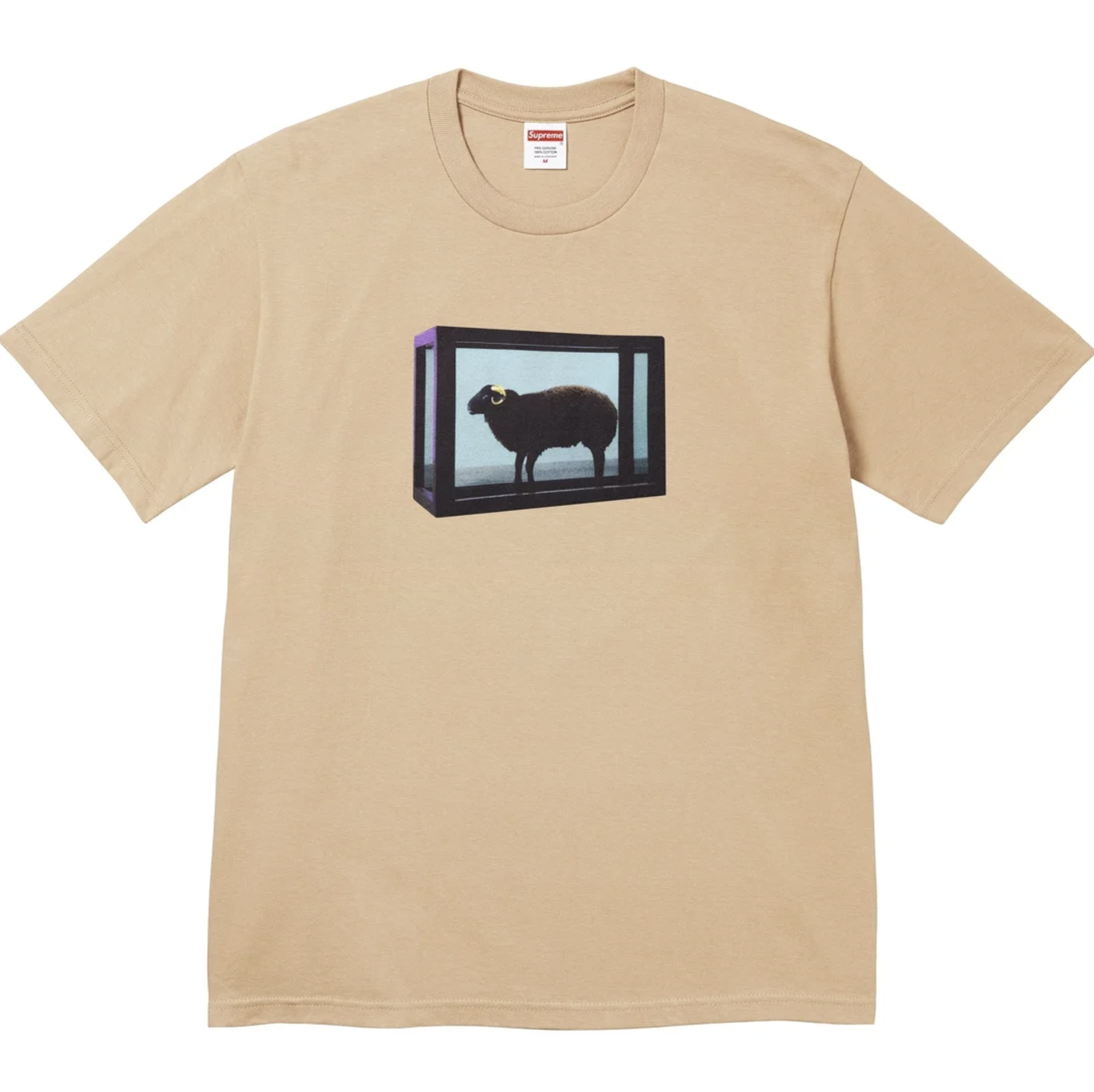[現貨] Supreme SS25 Damien Hirst Tee | Khaki