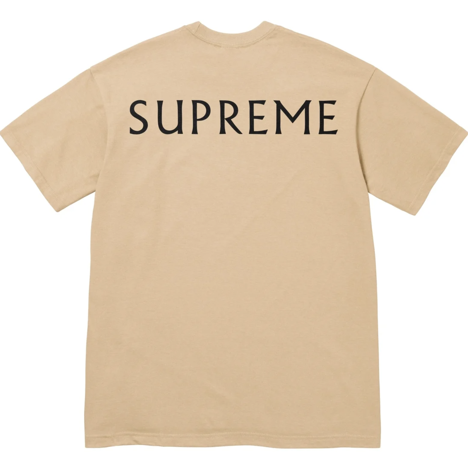 【SUPREME】シュプリーム★SS25 Damien Hirst Tee Khaki/Black Supreme SS25 Damien Hirst Tee | Khaki