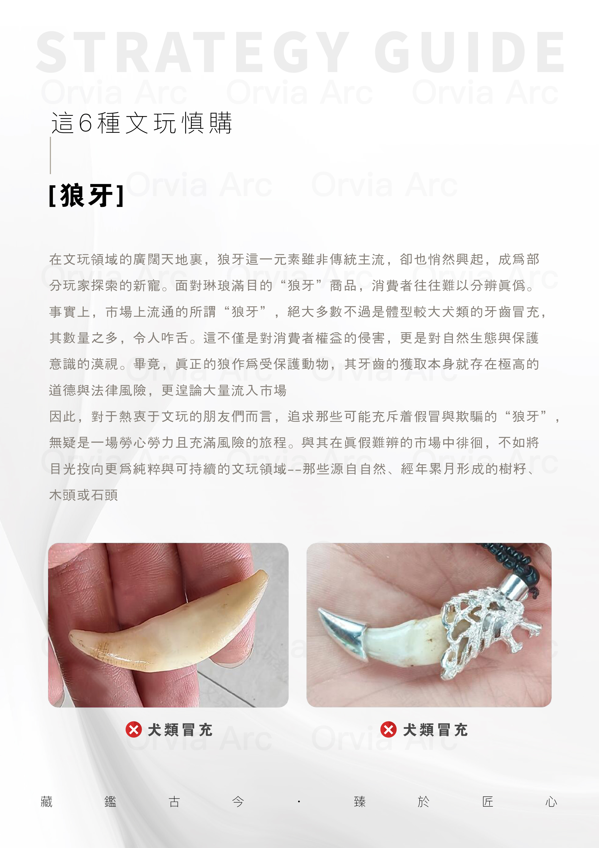文玩新手必看：狼牙文玩的真假辨別與市場現狀，避免購買犬牙冒充的假貨。