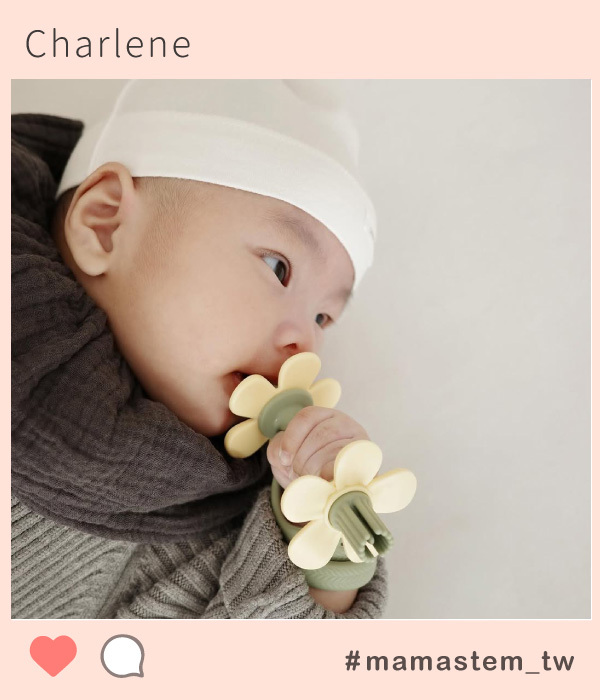 mamastem,固齒器,餐具,副食品,圍兜兜,奶嘴