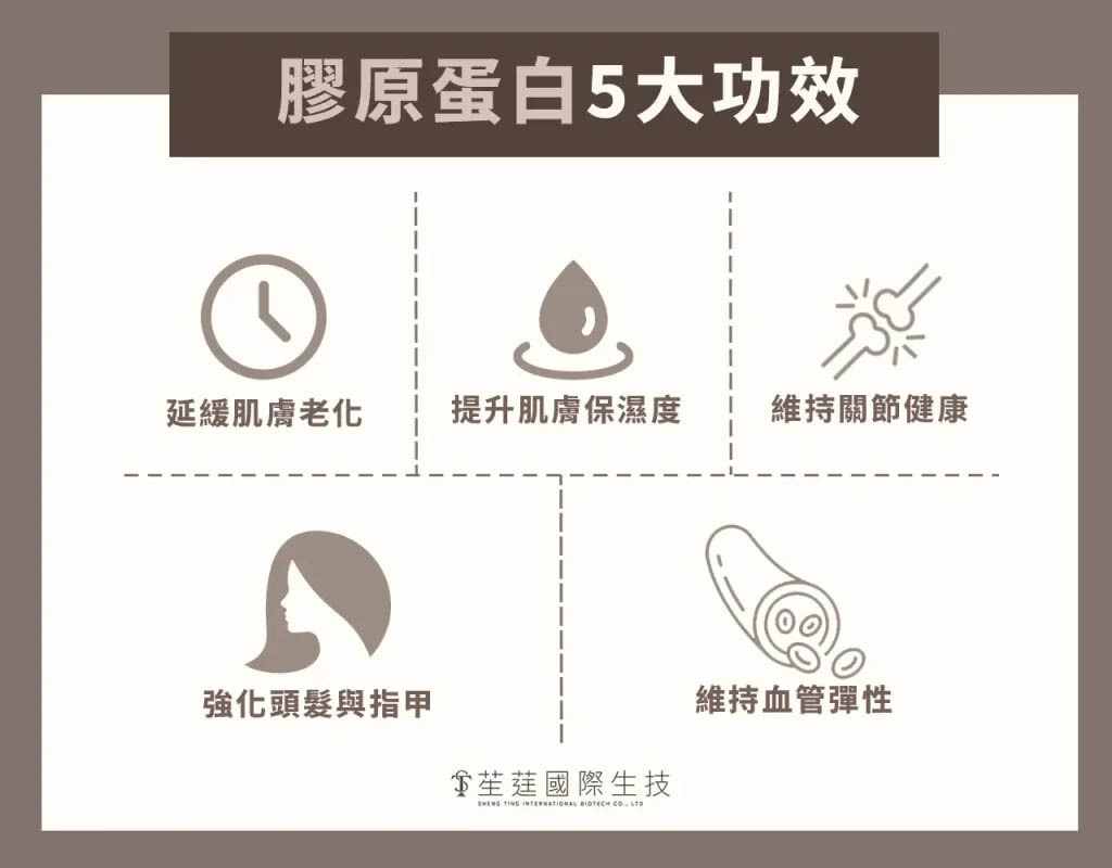 膠原蛋白功效