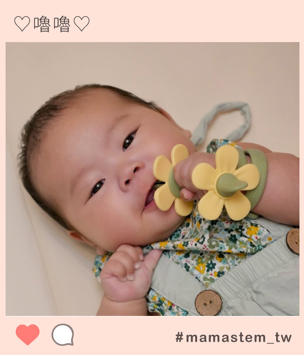 mamastem,固齒器,餐具,副食品,圍兜兜,奶嘴