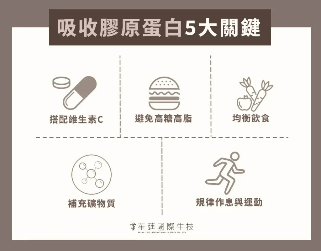 膠原蛋白吸收技巧