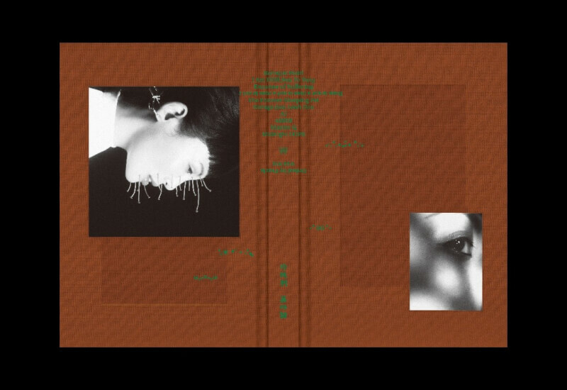 魏如萱 Waa Wei - 珍珠刑〔精裝正式版〕