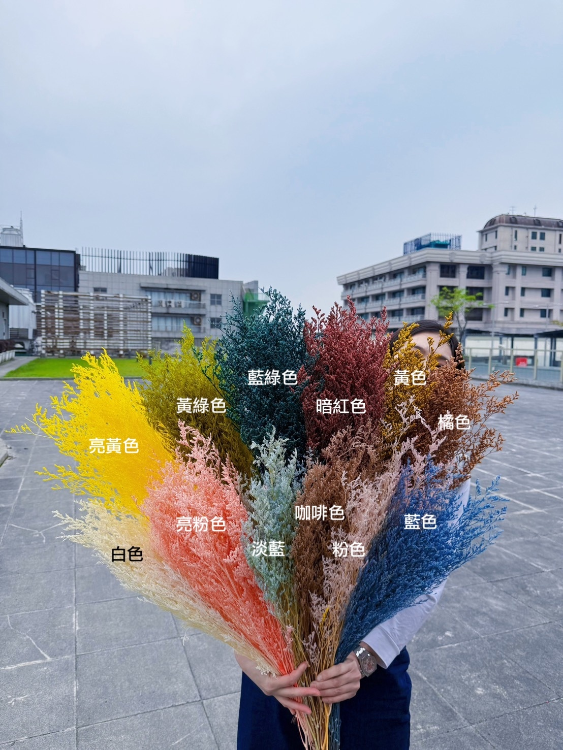 不凋卡斯比亞