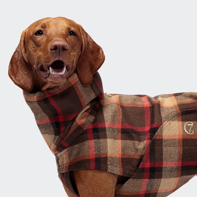 CLOUD7 - 雨衣 Glasgow - 格紋橙