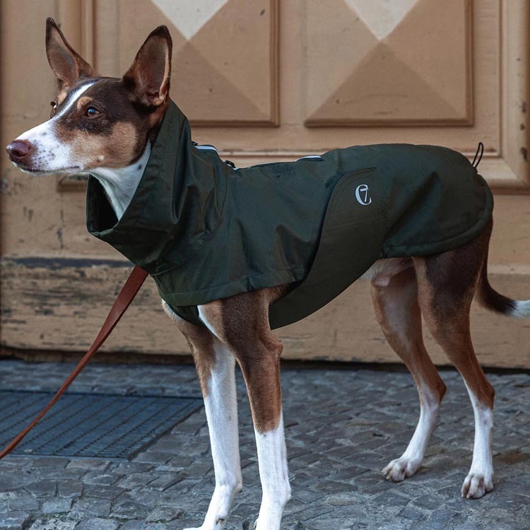 CLOUD7 - 雨衣 Dublin - 深橄欖