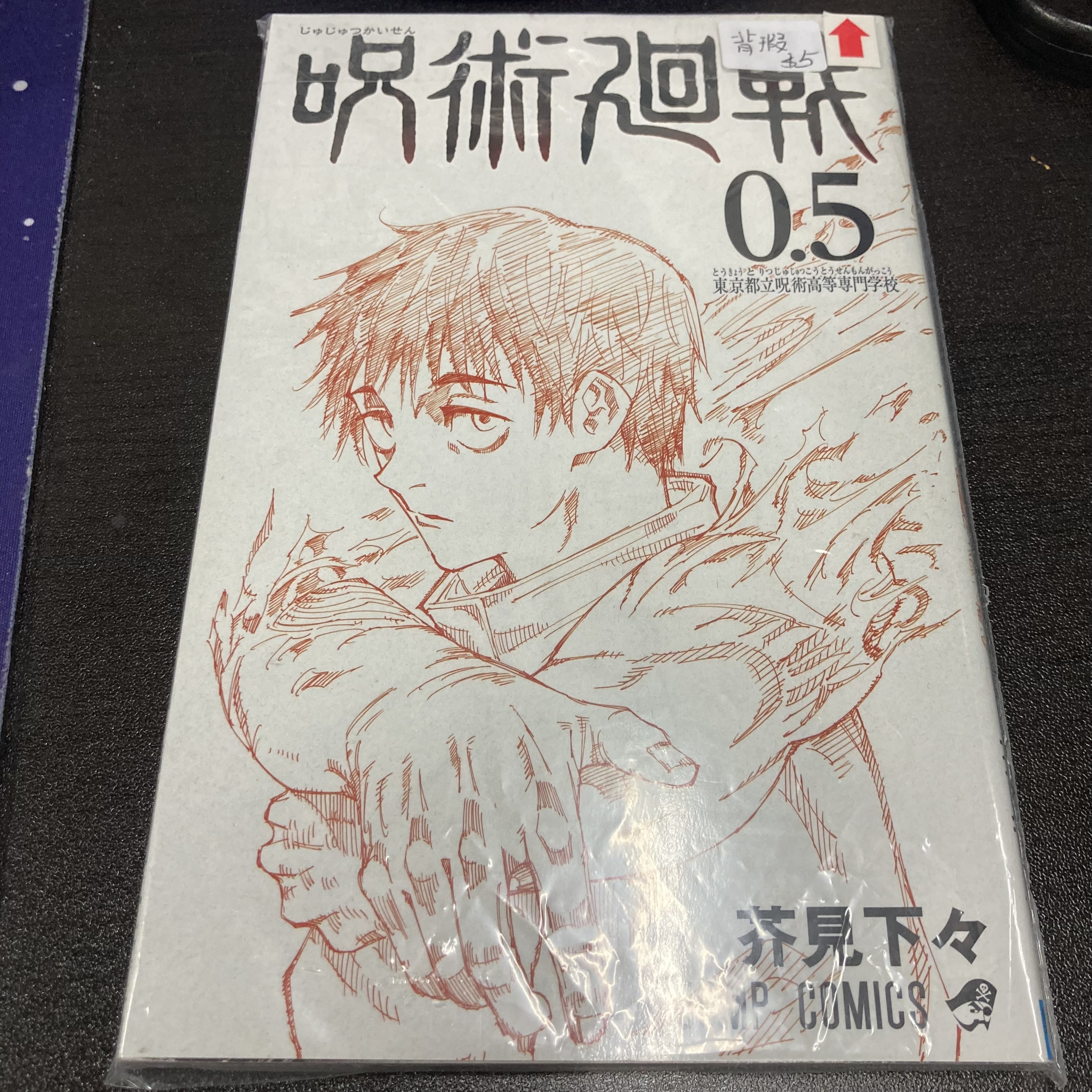 咒術迴戰 公式書 背瑕 #209