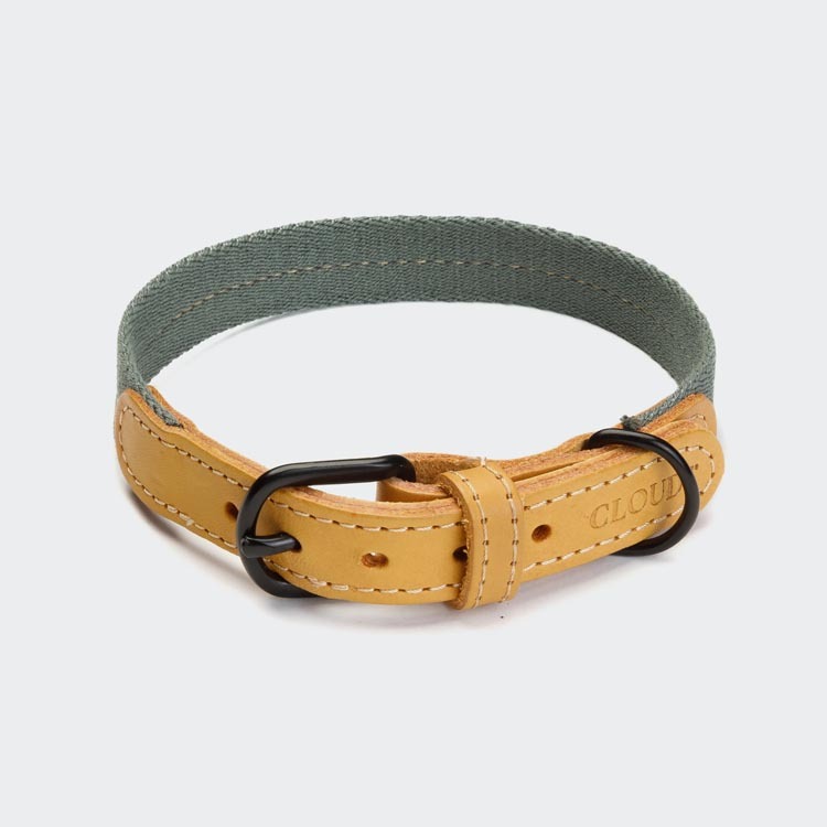 CLOUD7 - 項圈 Madeira - 餅乾