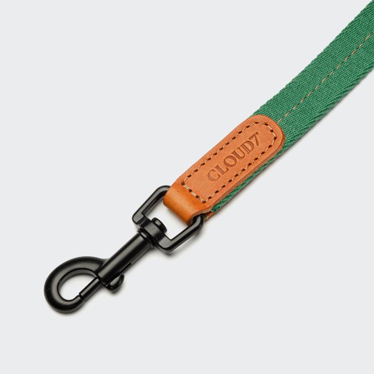 CLOUD7 - 牽繩 Madeira - 琥珀