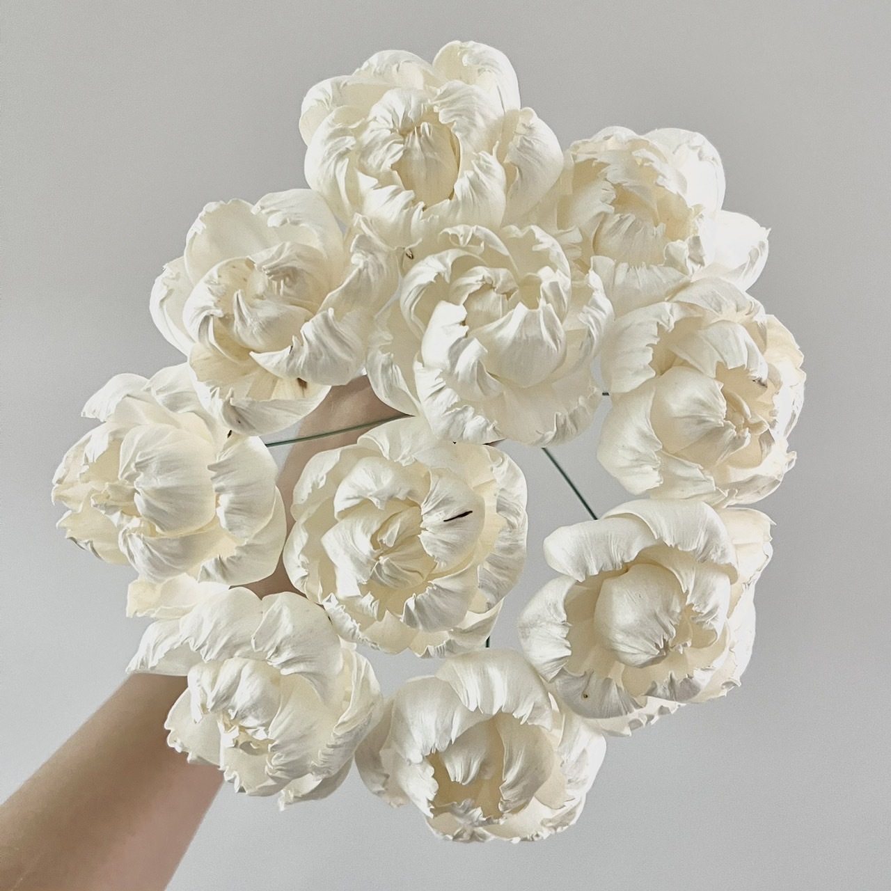 泰國索拉花 半開牡丹 5CM <十支一把> (高品質)