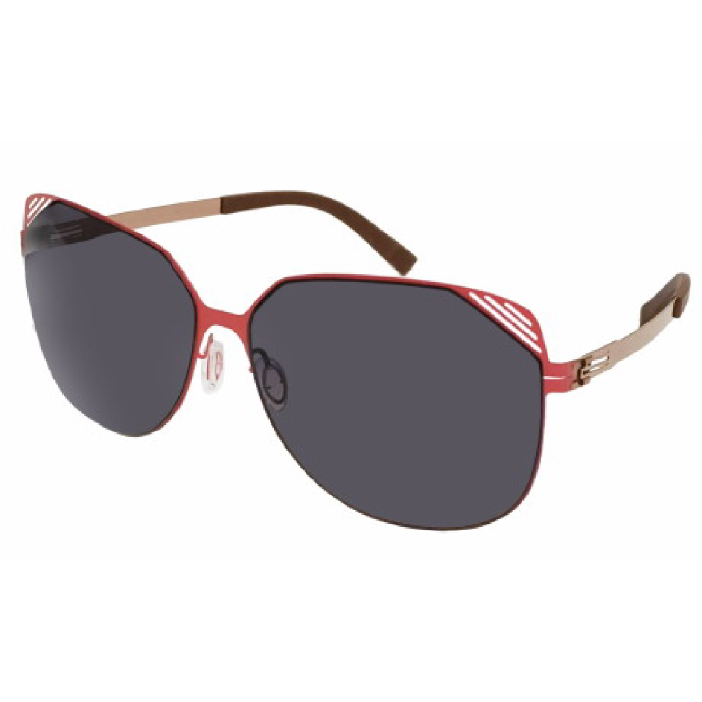 【POLARIS】偏光薄鋼太陽眼鏡 | PS79062C72