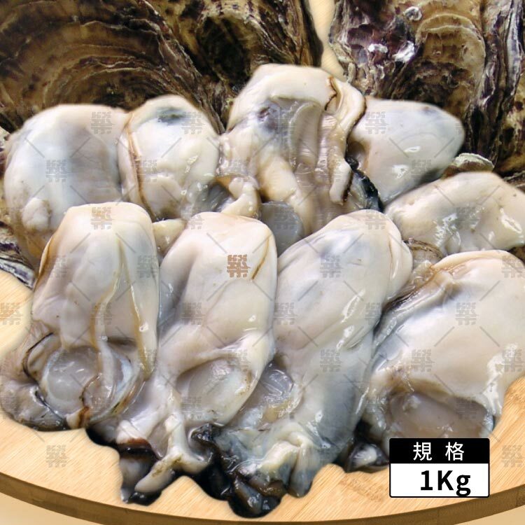 日本廣島產生蠔清肉1KG規格