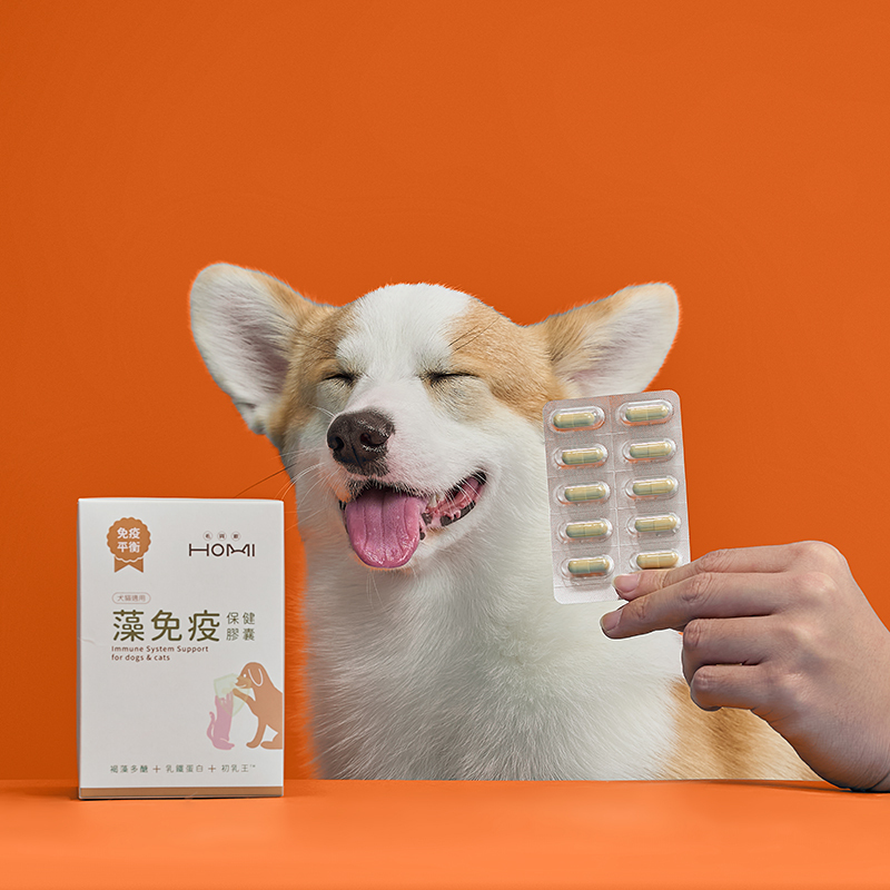 【中型犬貓 3期定期購】HOMI毛與家 藻免疫 免疫保健膠囊x4盒