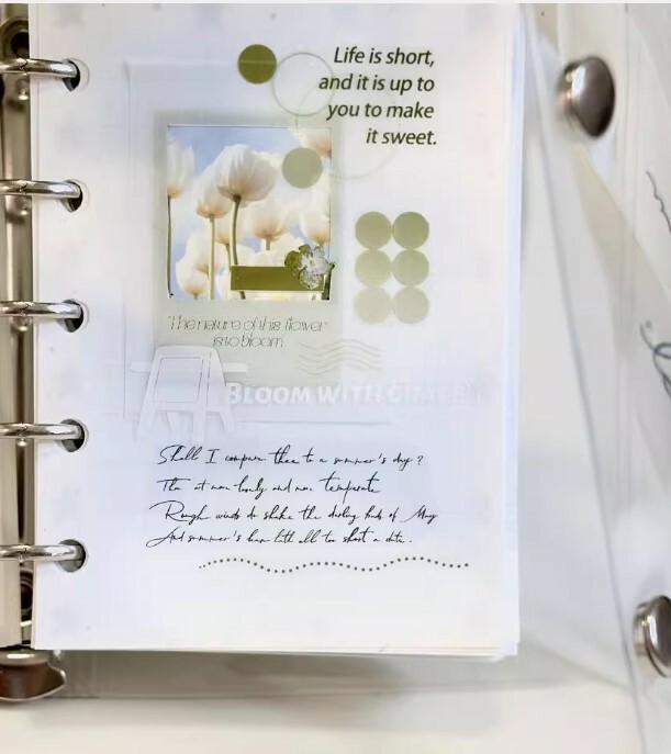 Freckles Tea Tape - Summer Memory