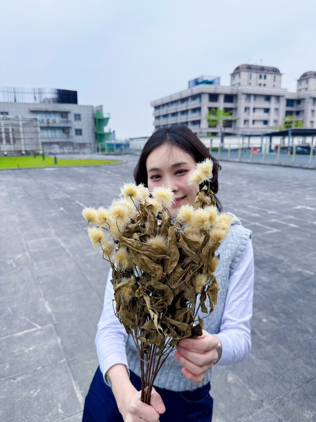 乾燥鐵線蓮(荷蘭)