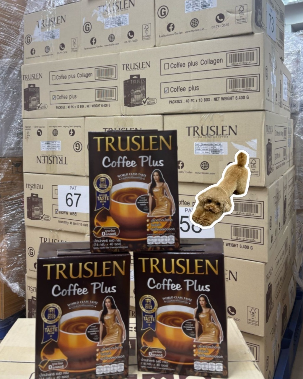 現貨 泰國直送🇹🇭Truslen無糖瘦身咖啡40包盒裝