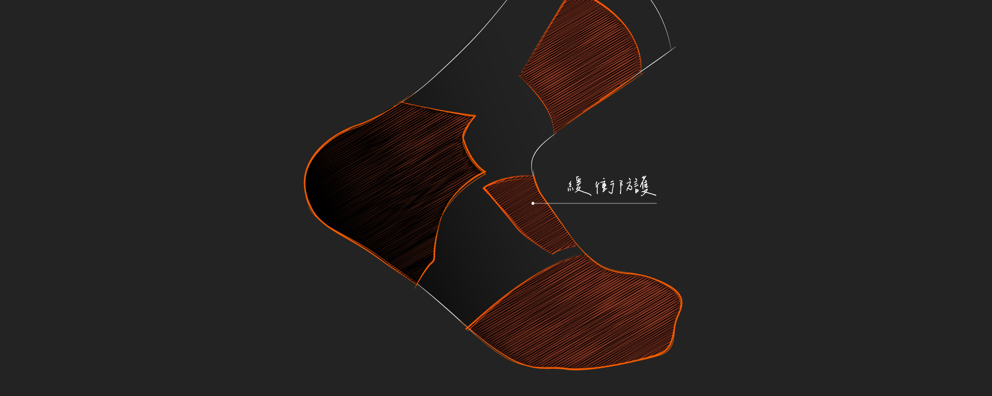 羊毛襪產品展示