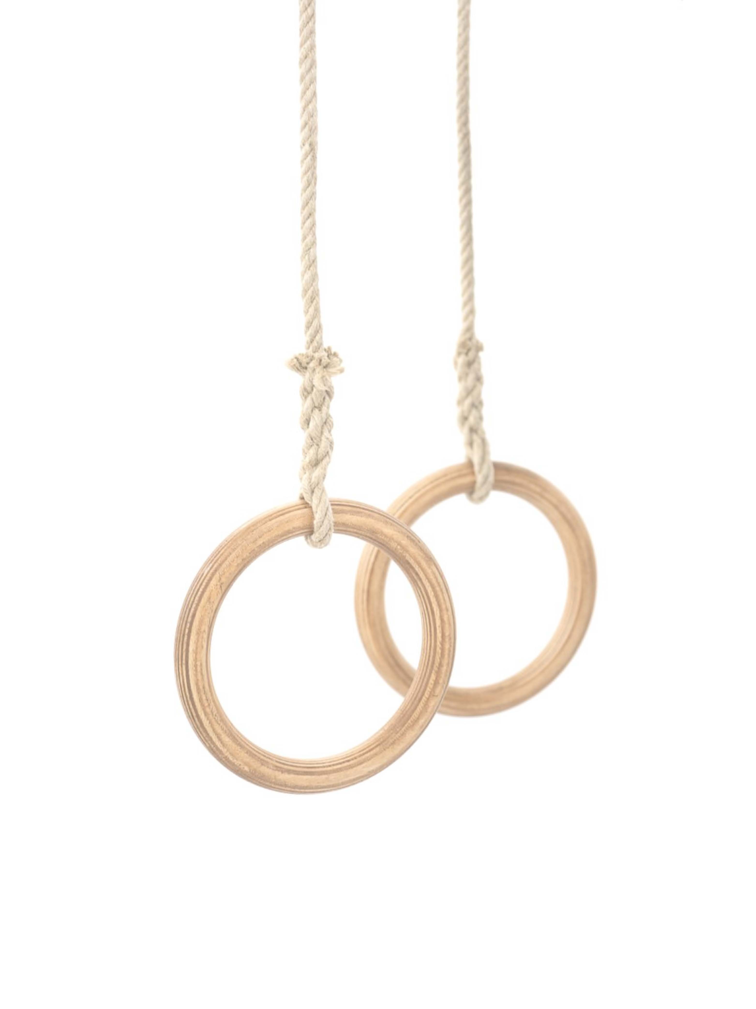 【絕版品】leg&go 體能吊環