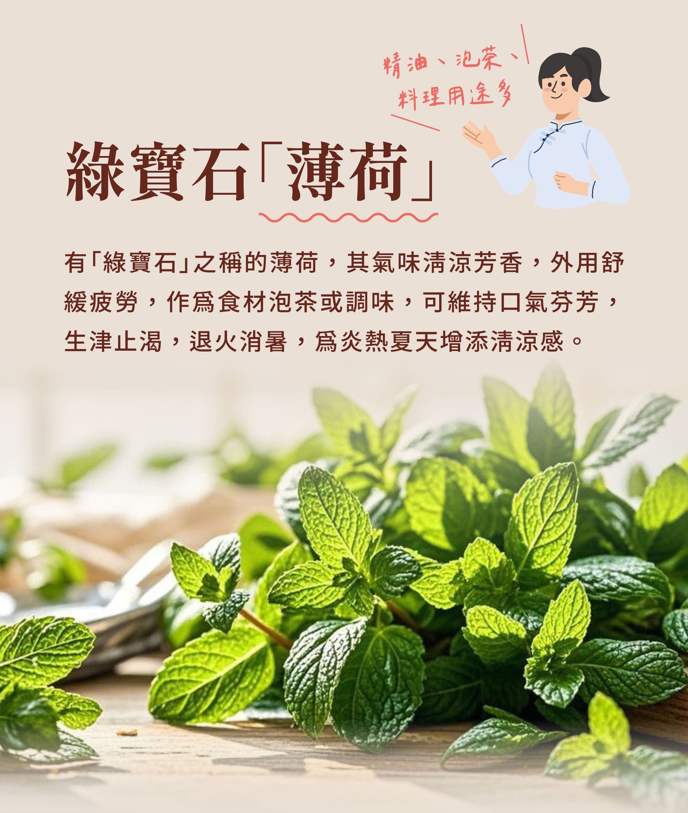 登義青草涼茶原料薄荷介紹