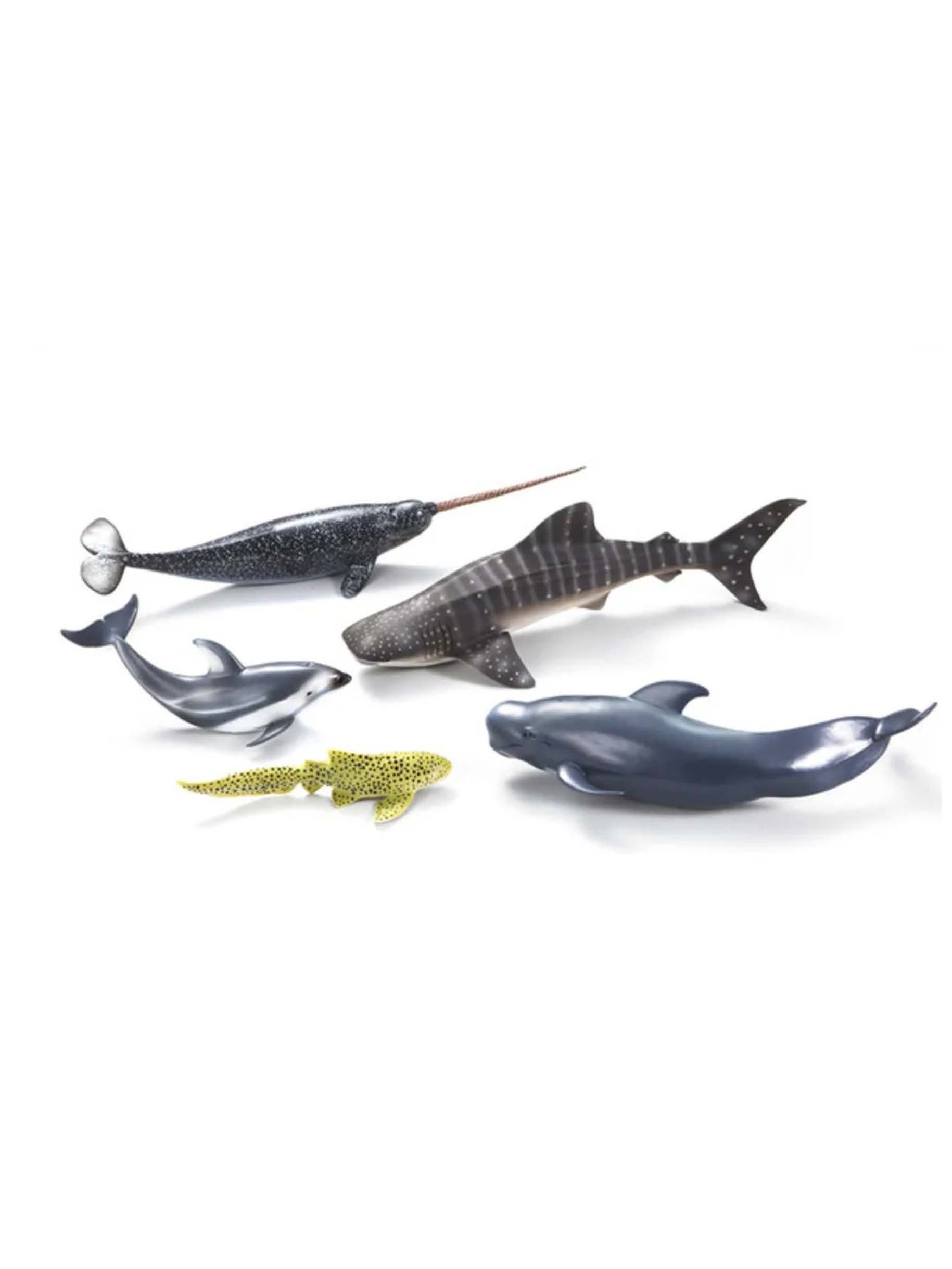 CollectA 海洋動物禮盒組 (5入)