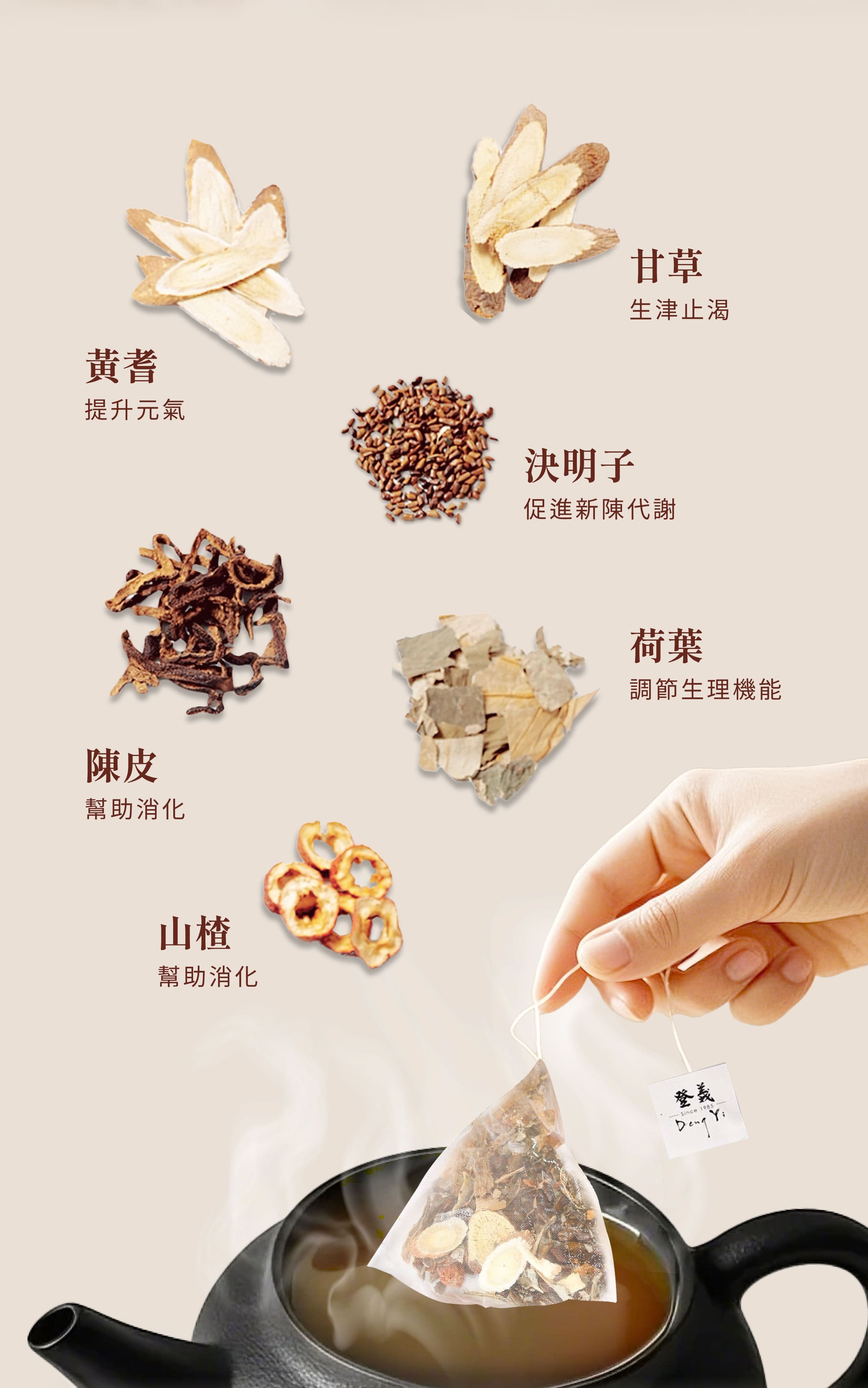 登義輕盈茶原料