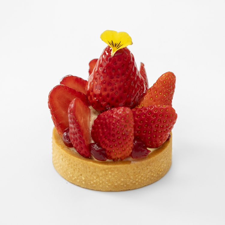 Strawberry Tart PTW211P