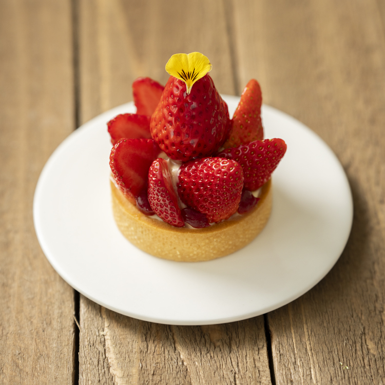 Strawberry Tart PTW211P