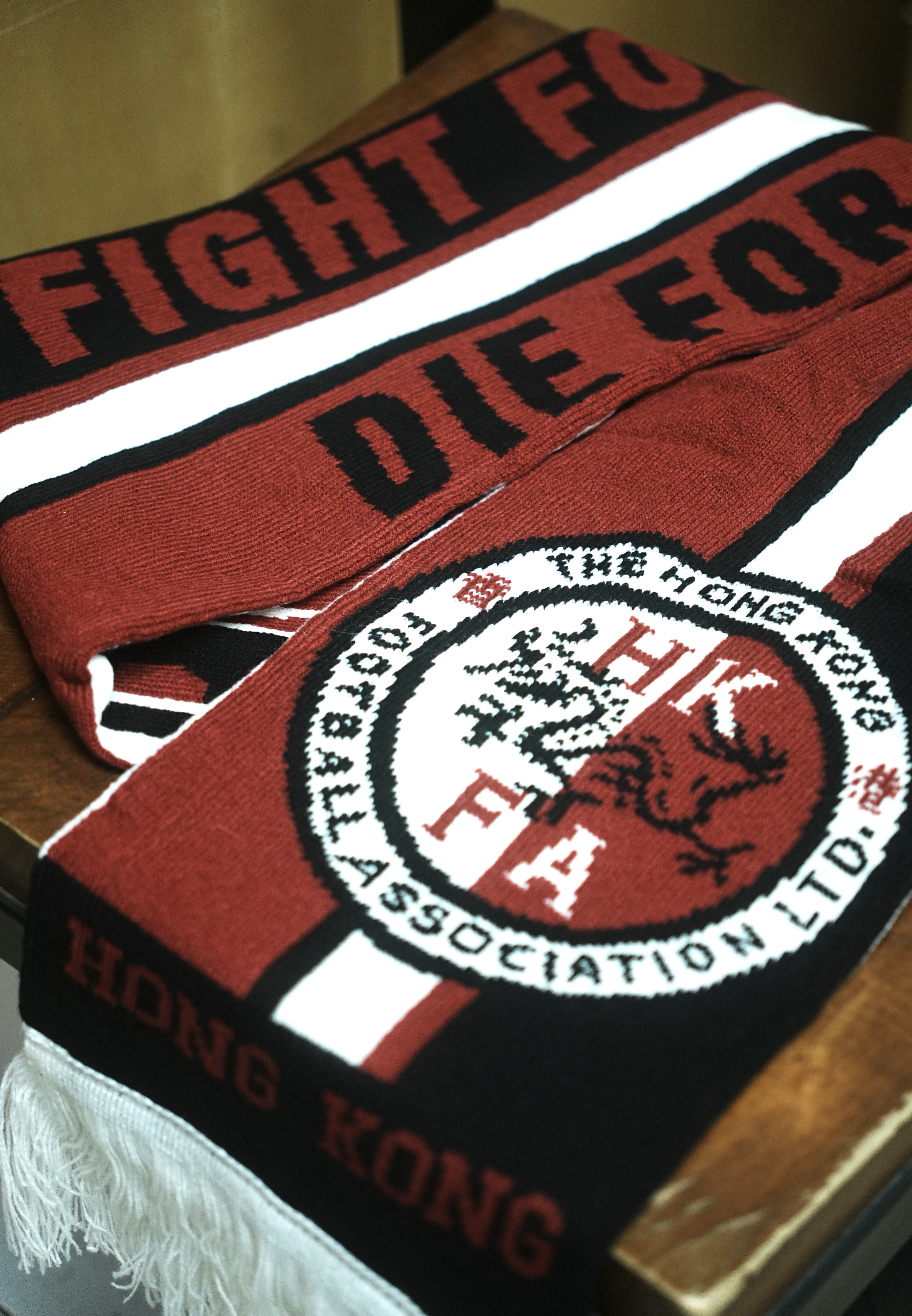絕版全新｜HKFA Fight for HK, Die for HK 香港隊打氣巾