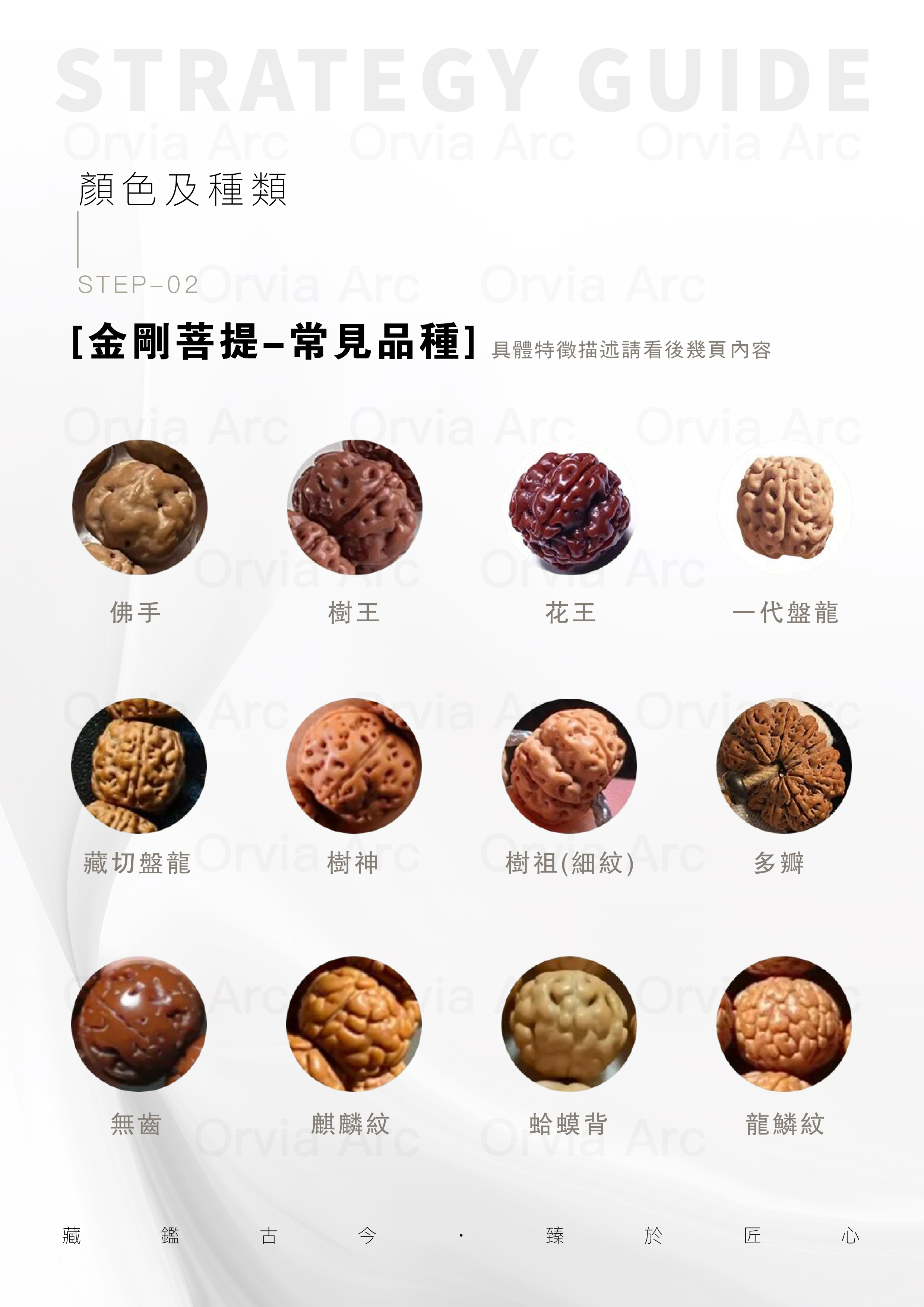 金剛菩提常見品種：佛手、樹王、花王、一代盤龍、藏切盤龍、樹神、樹祖、多瓣、無齒、麒麟紋、蛤蟆背、龍鱗紋