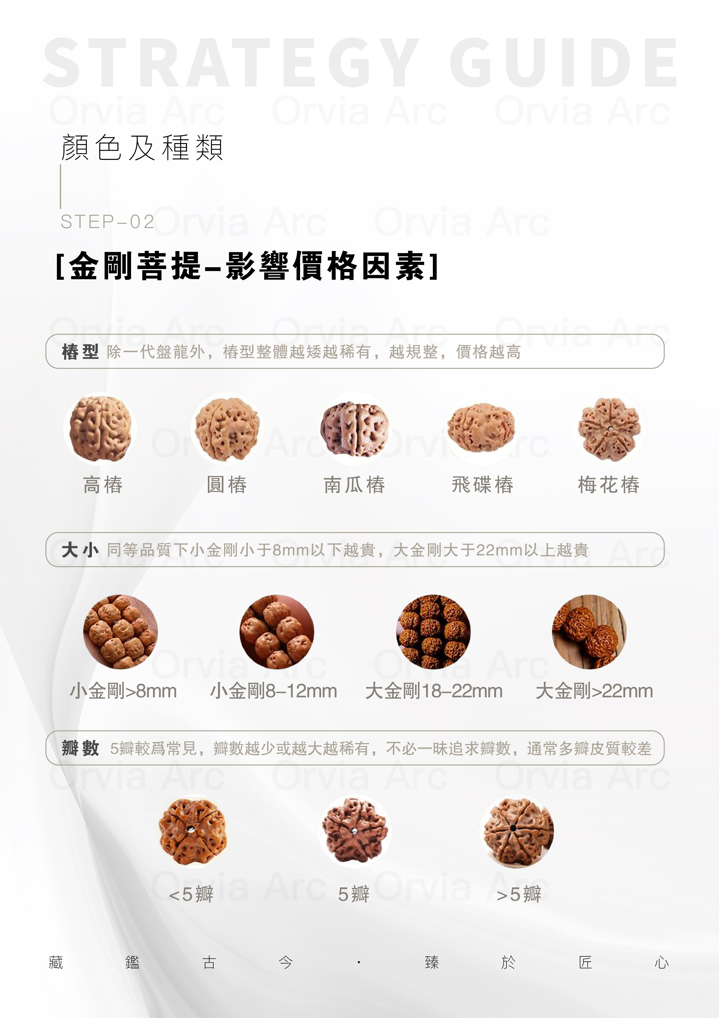 金剛菩提影響價格因素：椿型、大小、瓣數