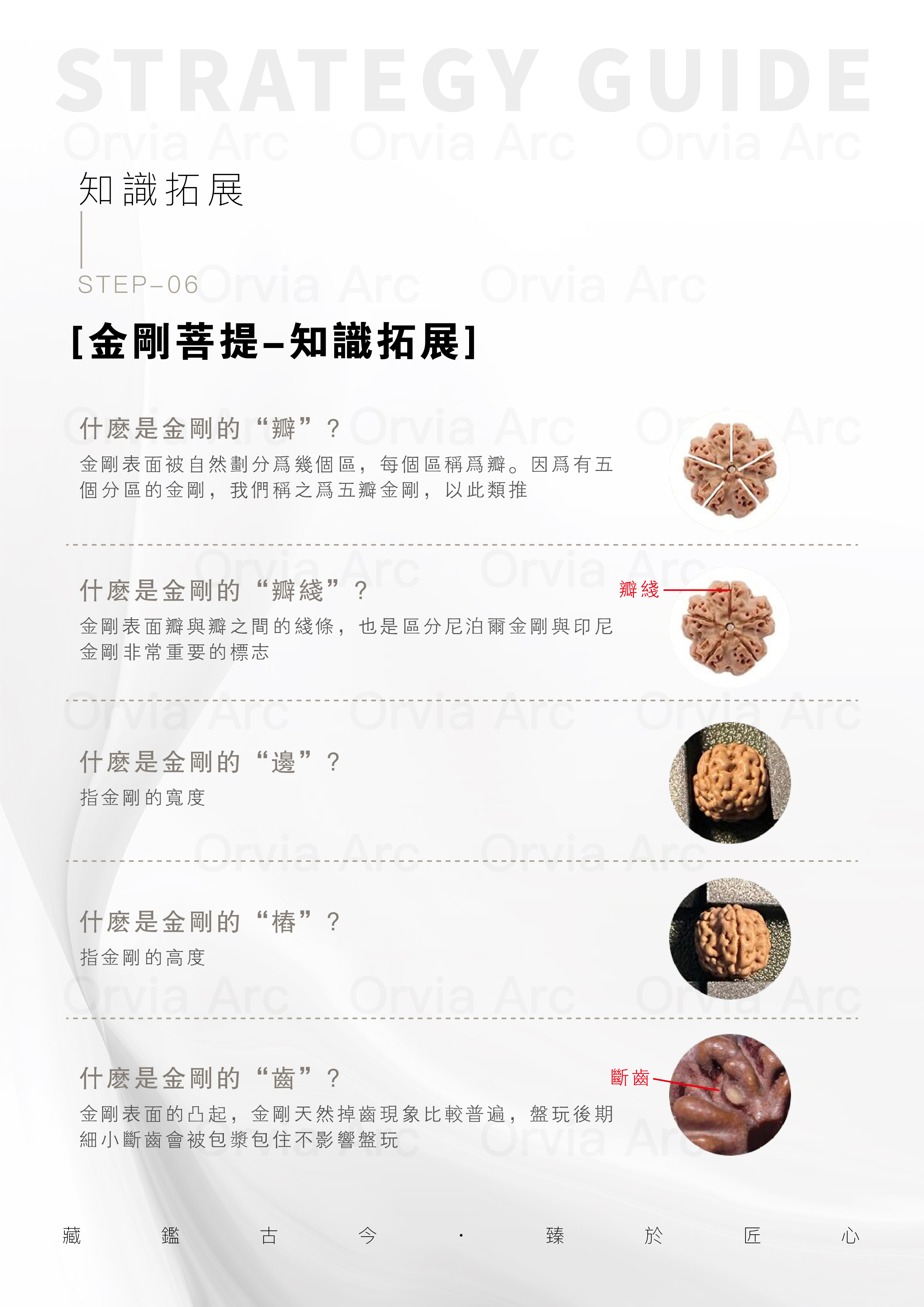 金剛菩提知識拓展：瓣、瓣綫、邊、椿、齒