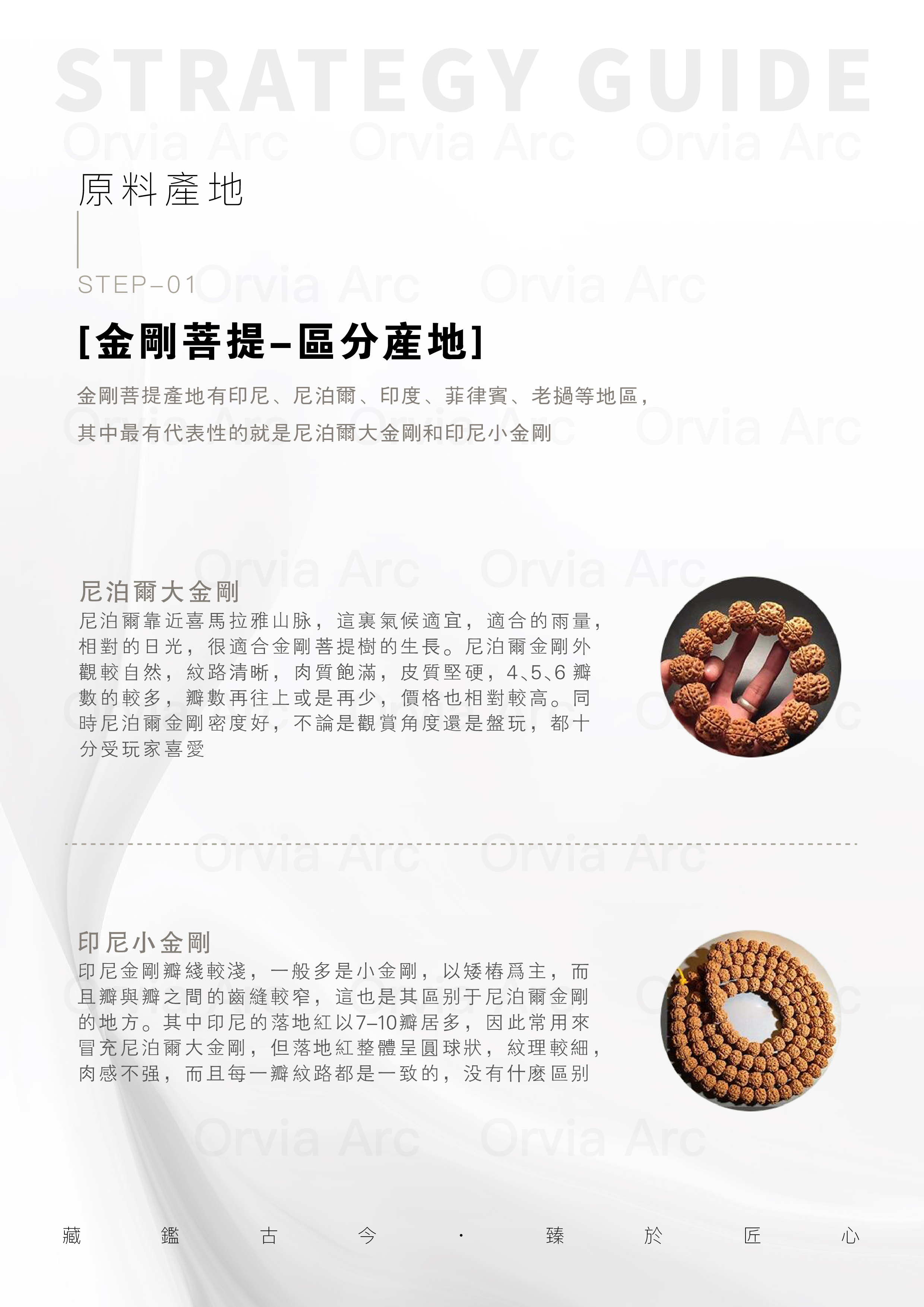 金剛菩提產地介紹：尼泊爾大金剛與印尼小金剛的區別