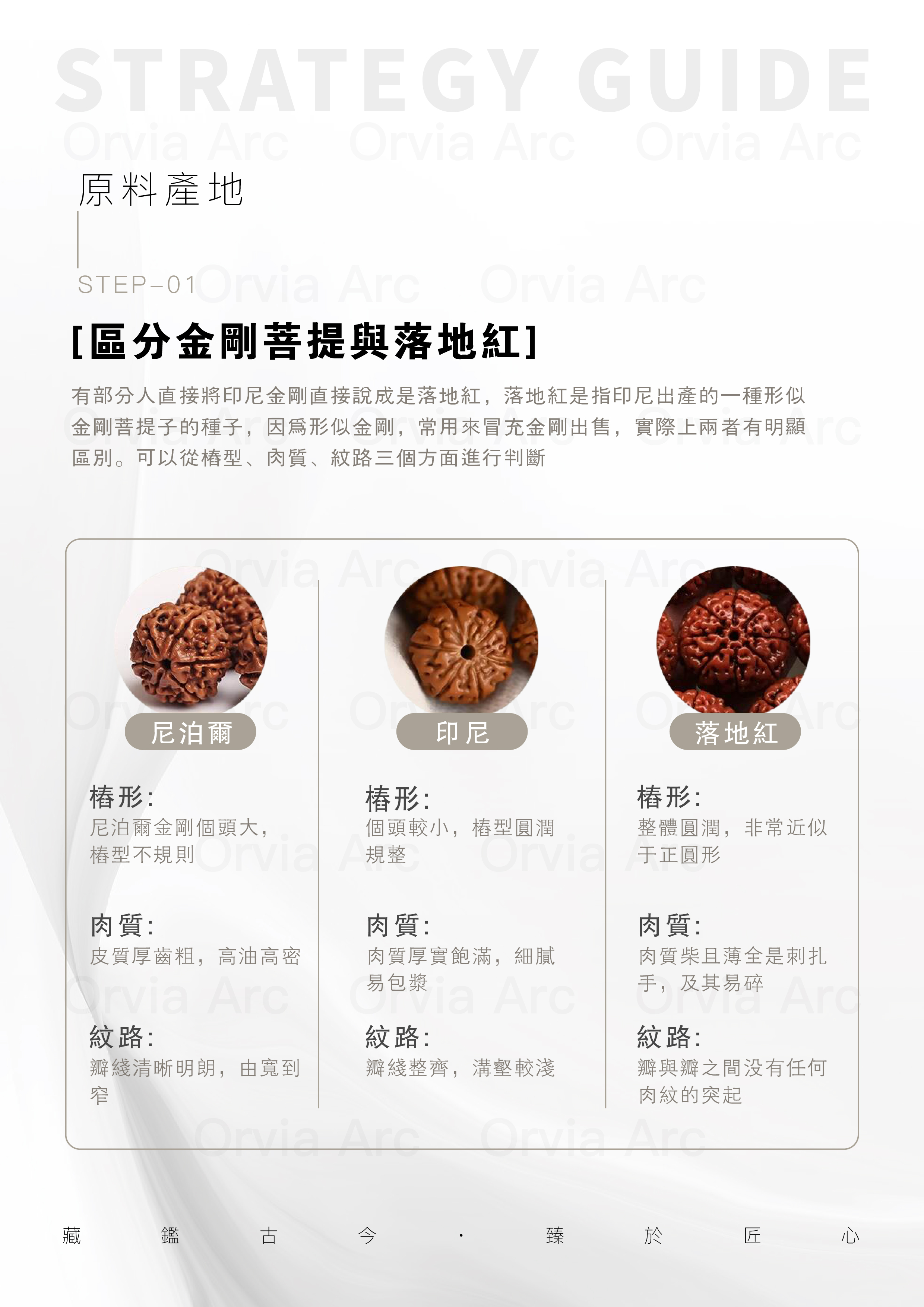 金剛菩提與落地紅的區別：椿型、肉質、紋路對比