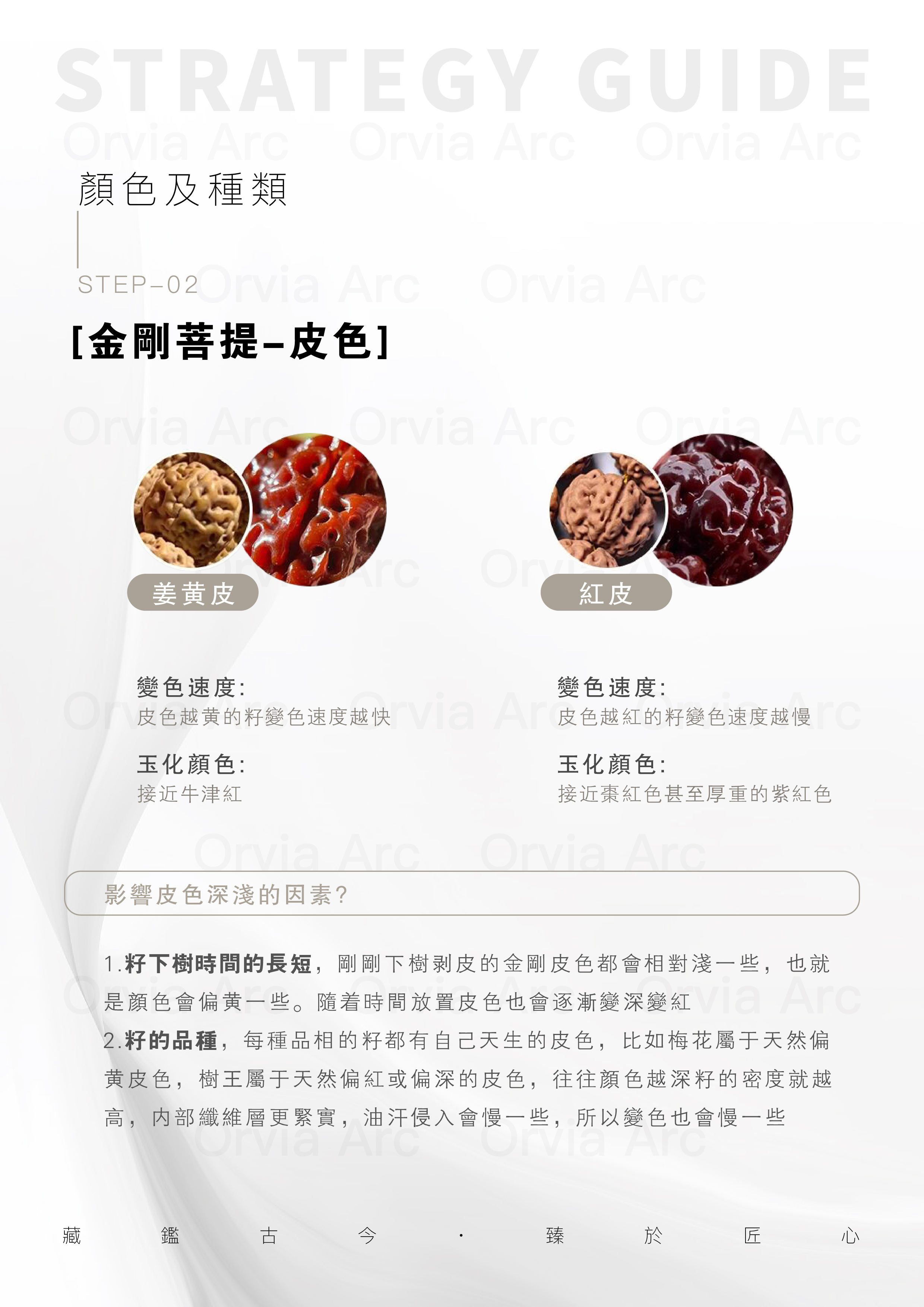 金剛菩提皮色分析：姜黃皮與紅皮的變色速度與玉化顏色