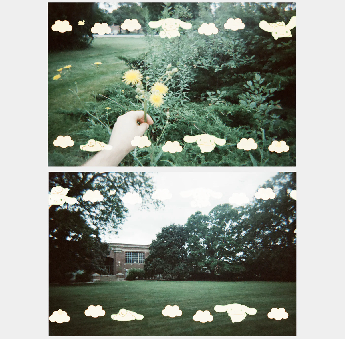 CINNAMOROLL 35mm Special Border Film