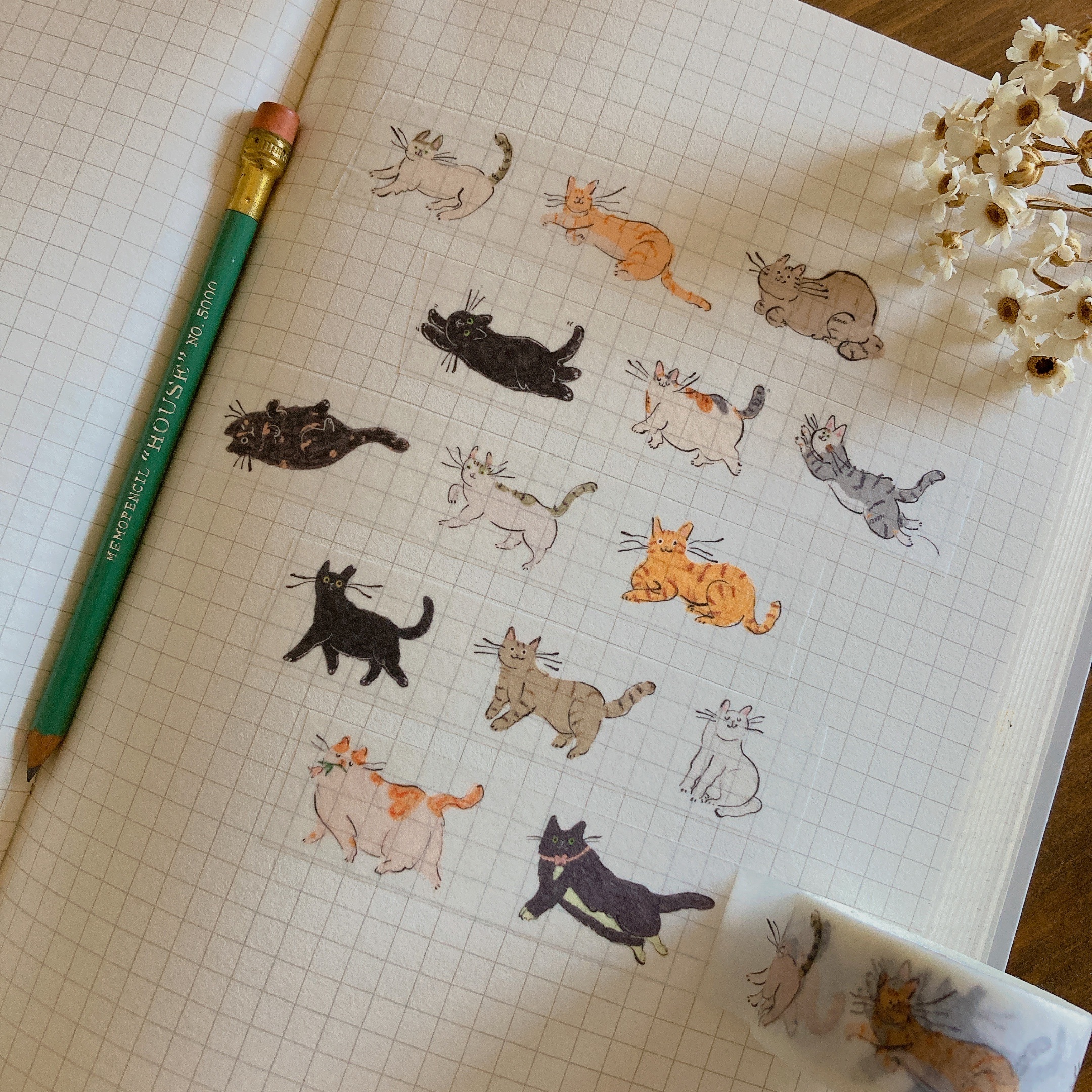 貓貓愛你 和紙膠帶｜SEVERUS LIAN 里恩太太