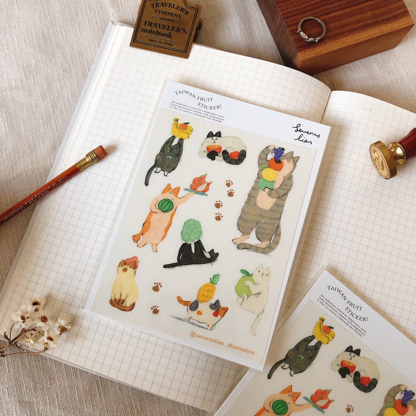 水果貓貓 防水透明貼紙｜SEVERUS LIAN 里恩太太